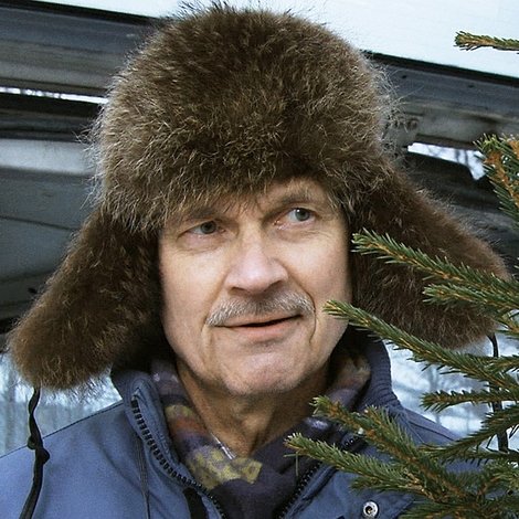 Joulukuusivarkaat