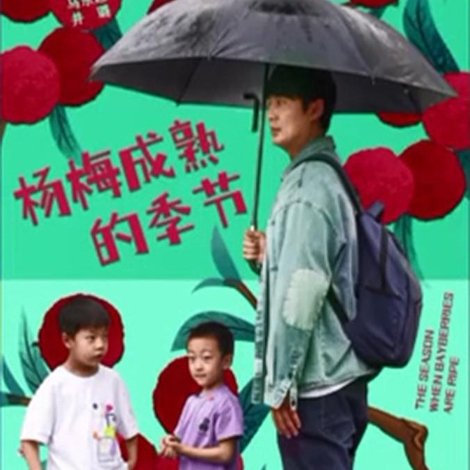 杨梅成熟的季节