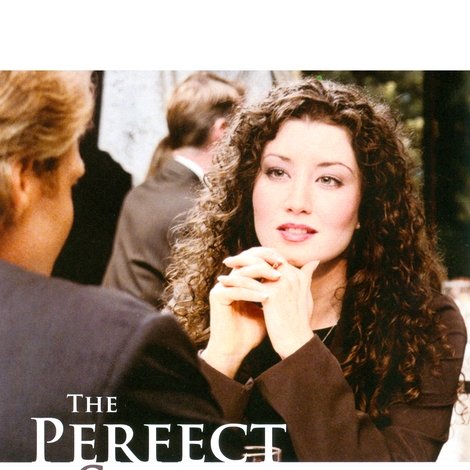 The Perfect Stranger