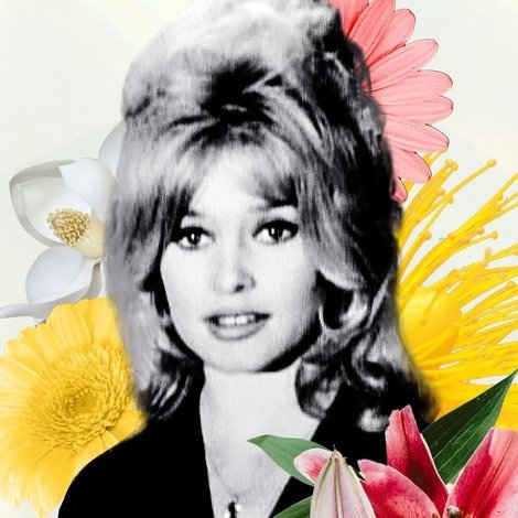 Le mystère Bardot