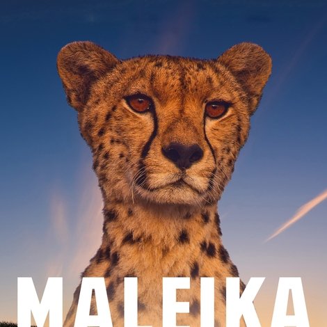 Maleika