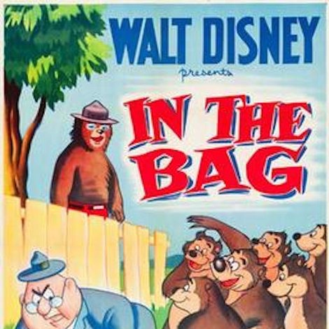 In the Bag