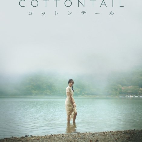 Cottontail