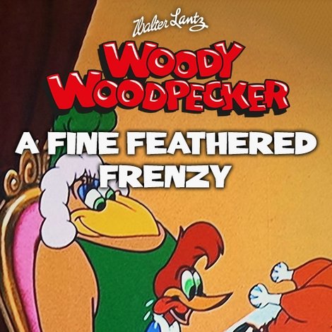 A Fine Feathered Frenzy