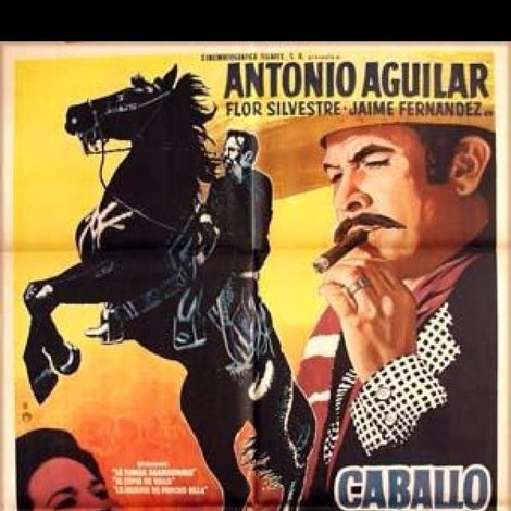 Caballo prieto azabache