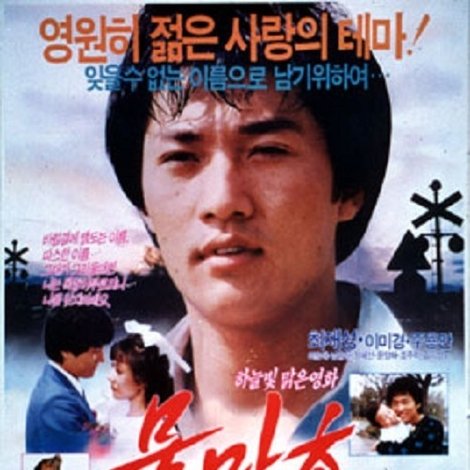 물망초