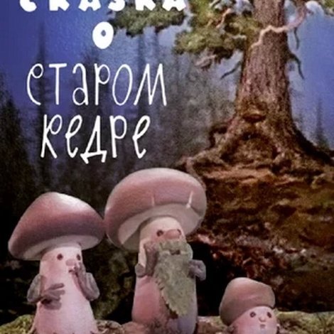 Сказка о старом кедре