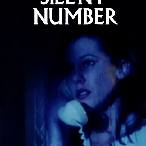 Silent Number