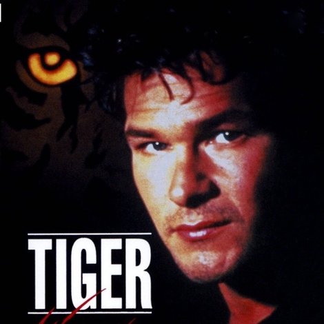 Tiger Warsaw