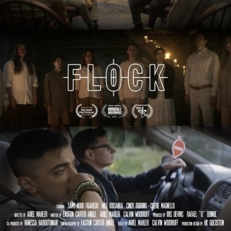 Flock