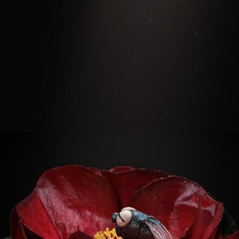 The Nectar Instead
