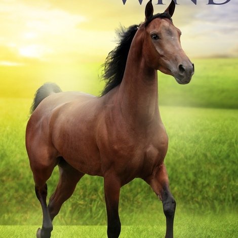King of the Wind