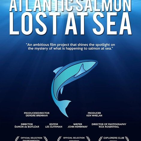 Atlantic Salmon: Lost at Sea