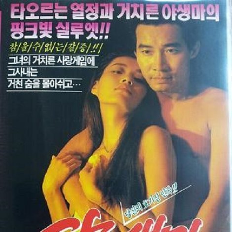 야생마