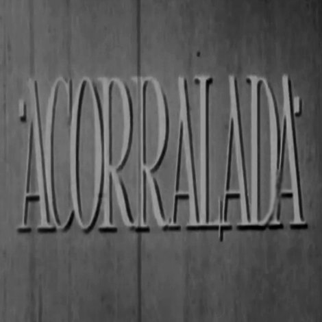 Acorralada