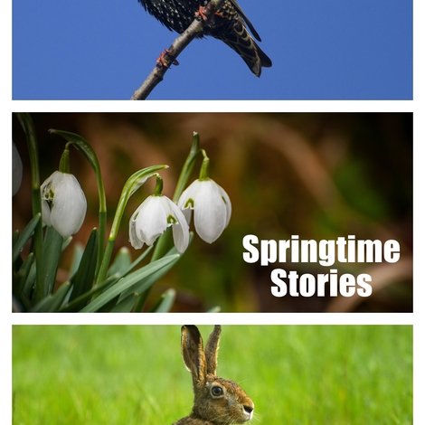 Frühlingswelten