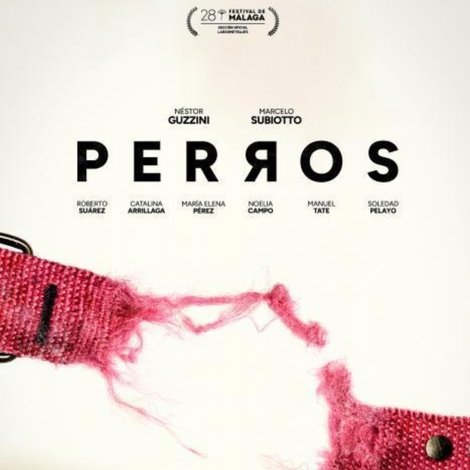 Perros