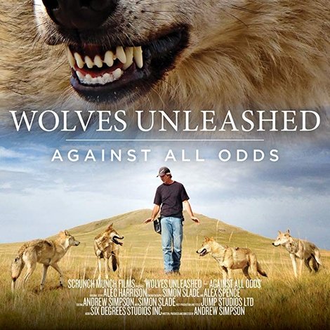 Wolves Unleashed: Against All Odds