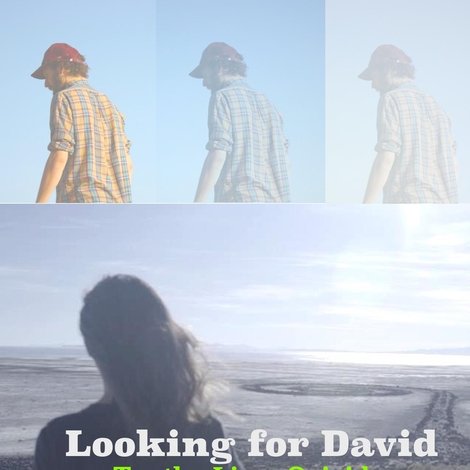 Looking for David