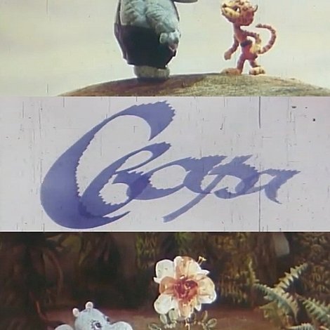 Свара