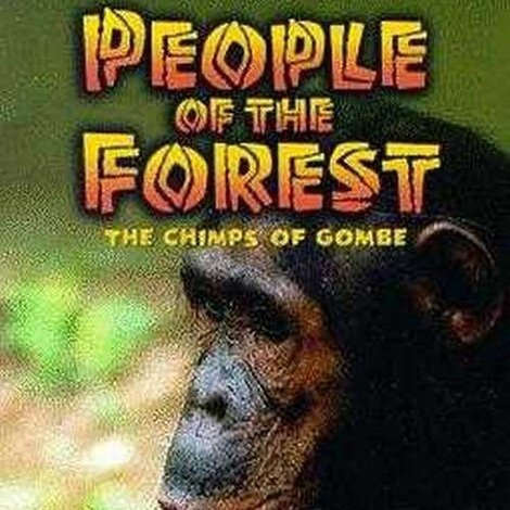 People of the Forest: The Chimps of Gombe