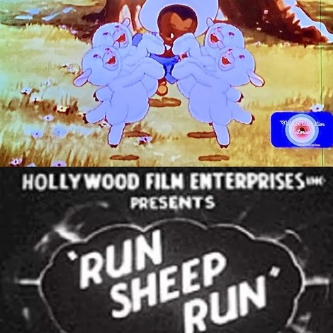 Run, Sheep, Run!
