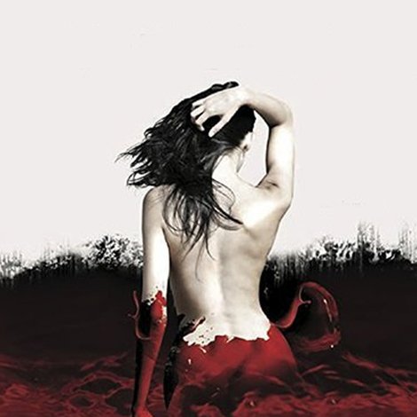 A Blood Story