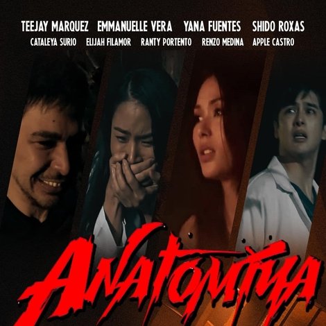 Anatomiya