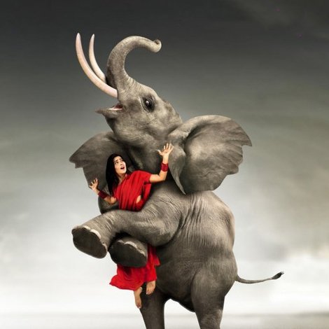 అవును