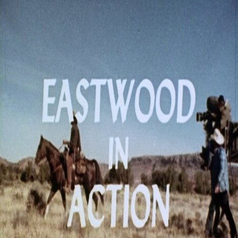 Eastwood In Action