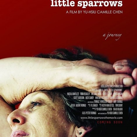 Little Sparrows
