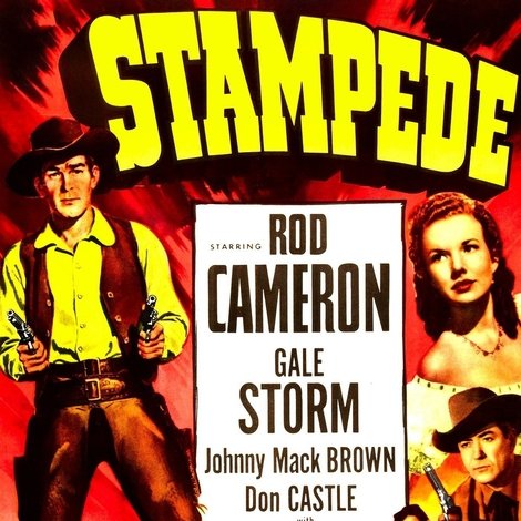 Stampede