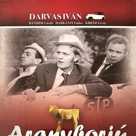 Aranyborjú