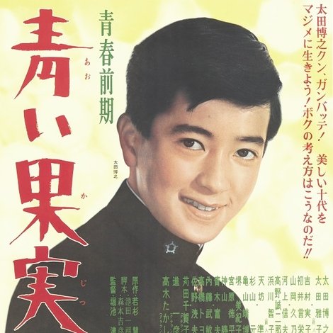 青春前期 青い果実