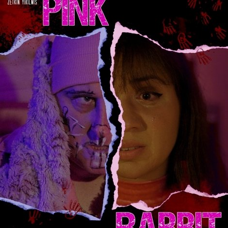 Pink Rabbit