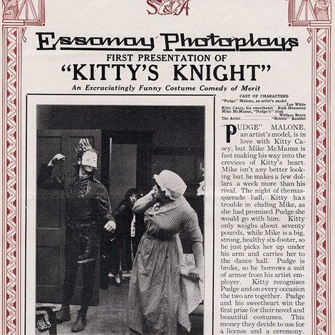 Kitty's Knight