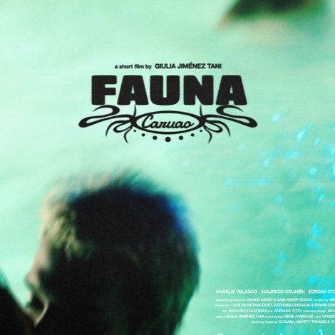 Fauna Caruao