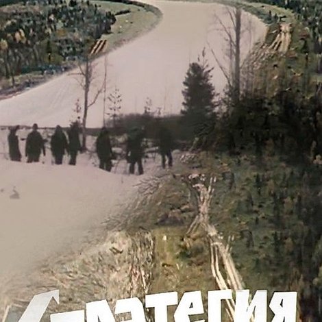 Стратегия риска