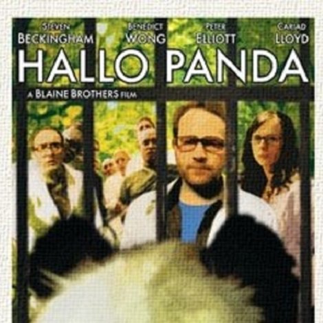 Hallo Panda