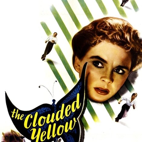 The Clouded Yellow