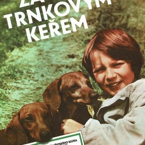 Za trnkovým keřem
