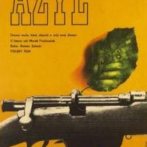 Azyl