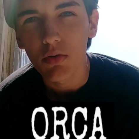 ORCA: A True Story