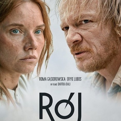 Rój
