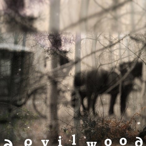 Devilwood