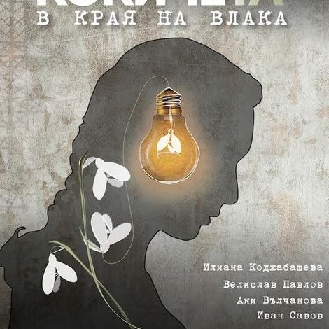 Кокичета в края на влака