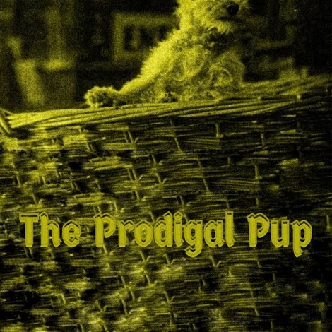 The Prodigal Pup