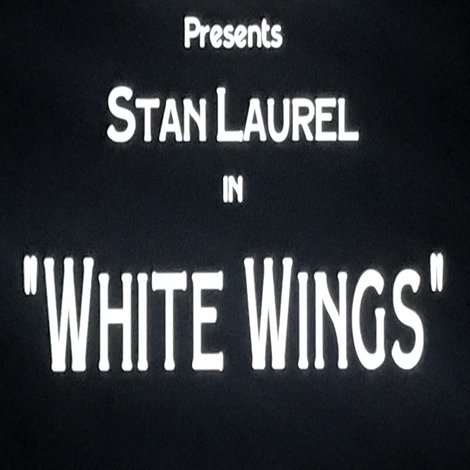White Wings