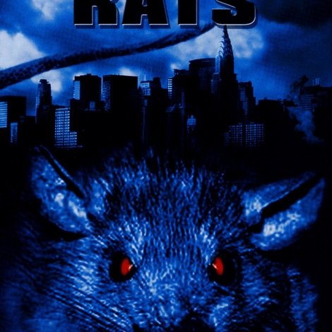 The Rats