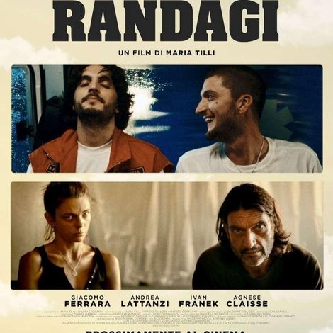 Animali randagi